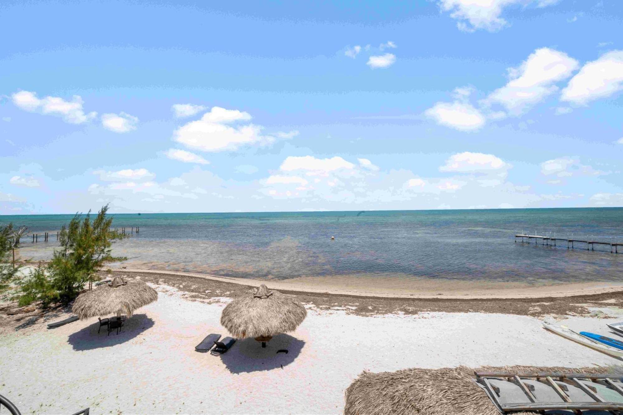 Ocean View Room Barnacle Bed And Breakfast Deers Beach Front Suite Big Pine Key Exterior foto